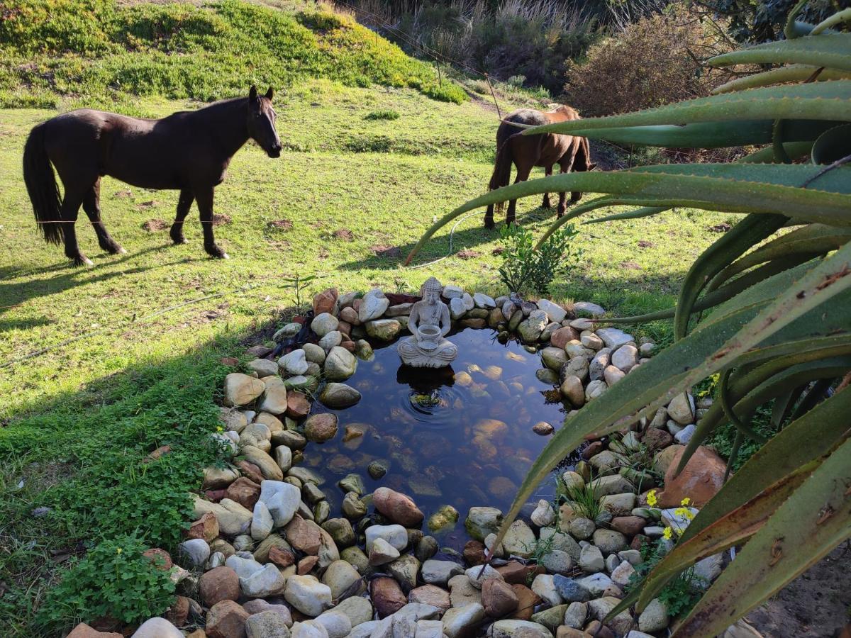 The Riverstone - Romantic Hideaway By The River - Loadshedding Free! Napier Εξωτερικό φωτογραφία